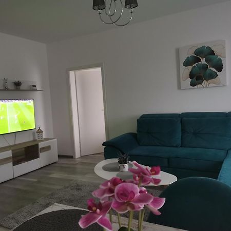 Apartmant Melinda M26 براشوف المظهر الخارجي الصورة
